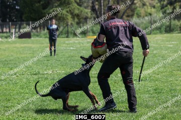 IMG_6007.jpg