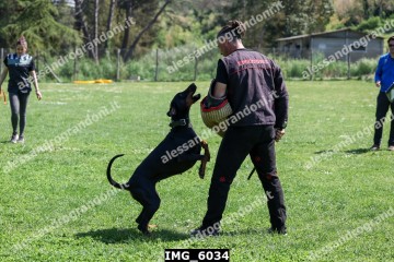 IMG_6034.jpg