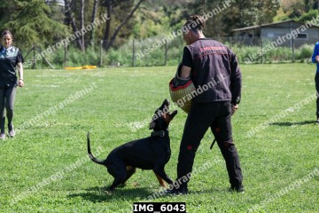 IMG_6043.jpg