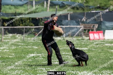 IMG_6075.jpg
