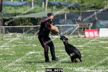 IMG_6076.jpg