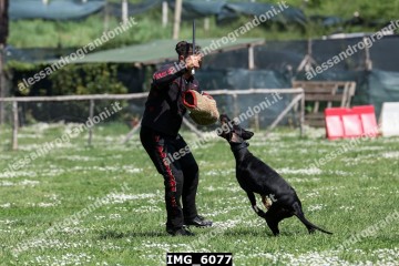 IMG_6077.jpg