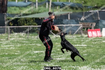 IMG_6078.jpg