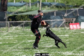 IMG_6079.jpg