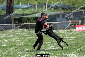 IMG_6081.jpg