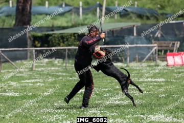 IMG_6082.jpg