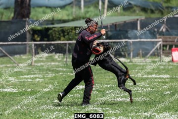 IMG_6083.jpg
