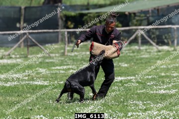 IMG_6113.jpg