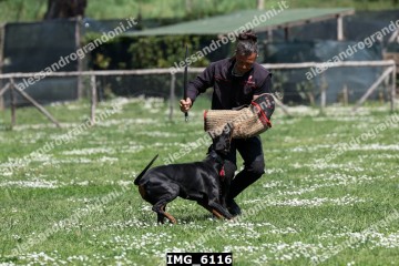 IMG_6116.jpg