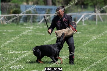 IMG_6134.jpg