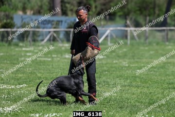 IMG_6138.jpg