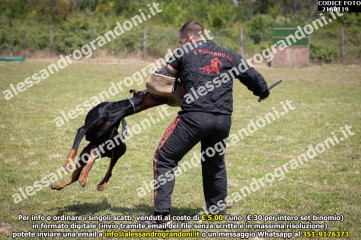 IMG9_21A0119.jpg