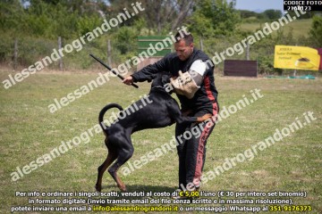 IMG9_21A0123.jpg