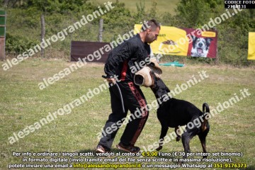 IMG9_21A0131.jpg