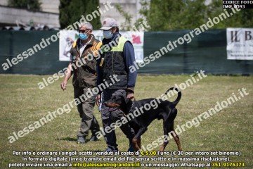 IMG_0393.jpg