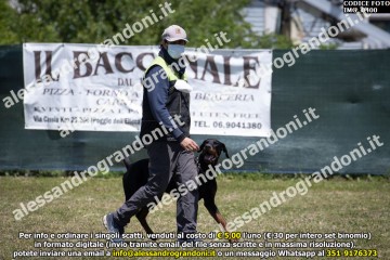 IMG_0400.jpg