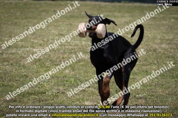 IMG_0406.jpg
