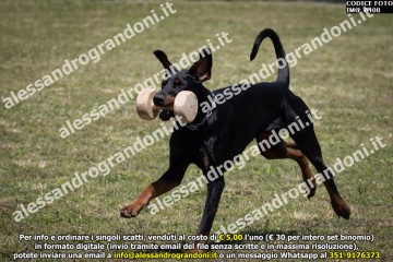 IMG_0408.jpg