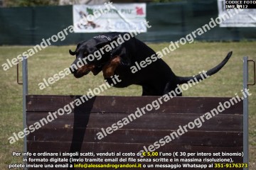 IMG_0412.jpg