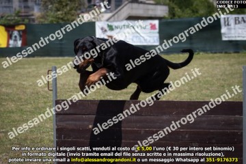 IMG_0413.jpg