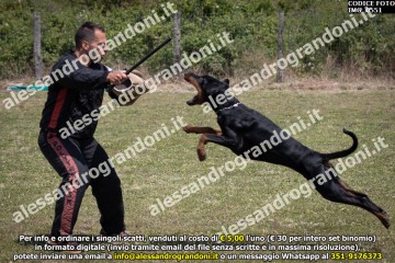 IMG_0551.jpg