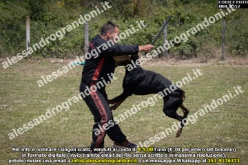 IMG_0552.jpg