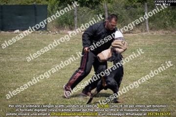 IMG_0562.jpg