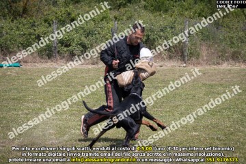 IMG_0567.jpg