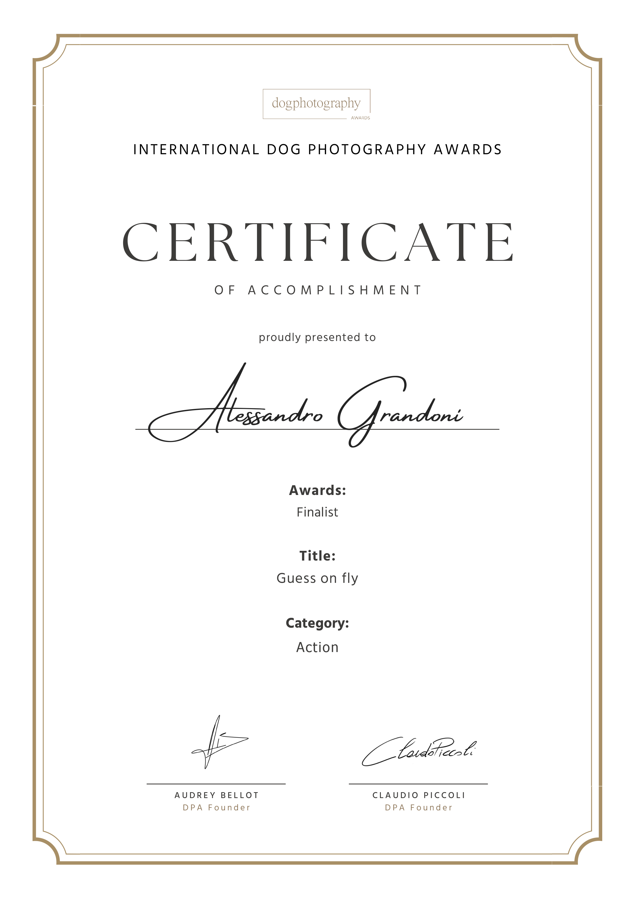 Finalista Dog Photography Awards 2023 Image