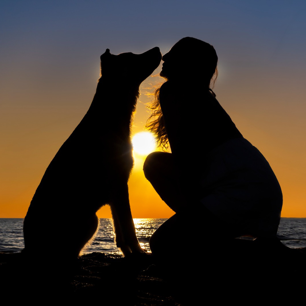 Silhouette cane e padrone Servizio fotografico al mare