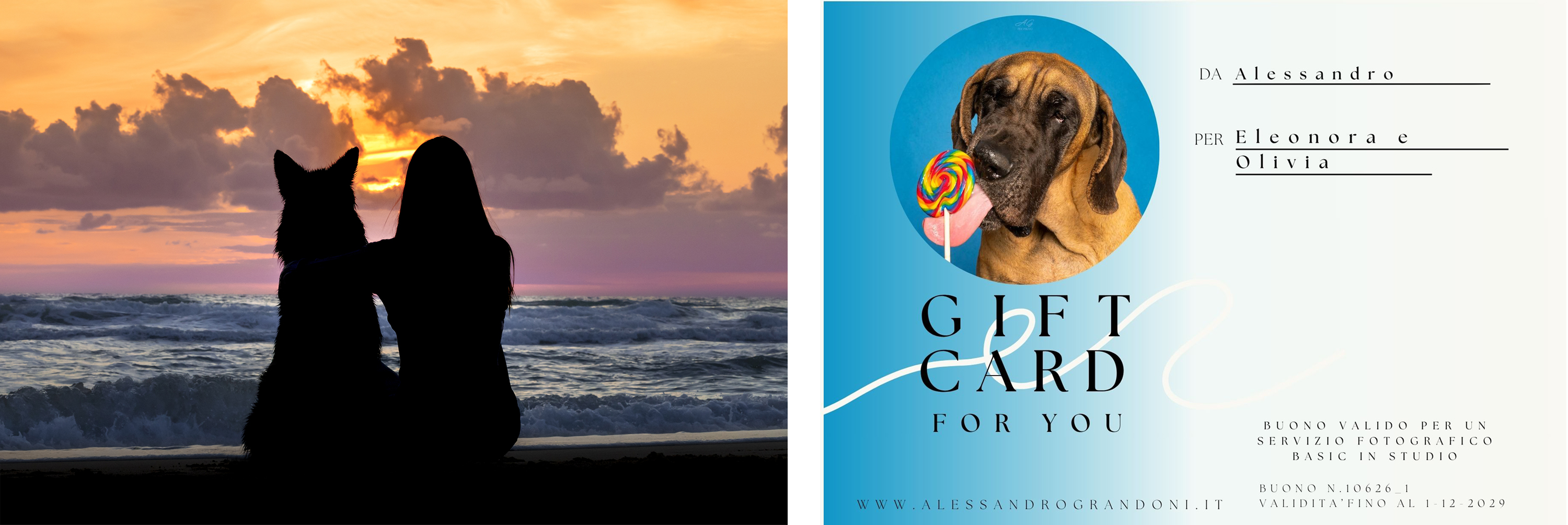 Gift card fotografo cani roma