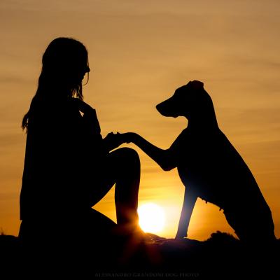 Silhouette di Dobermann e Padrone che si danno la zampa