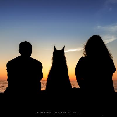 Silhouette di Lupo Cecoslovacco e padroni al tramonto con cielo arancione e azzurro