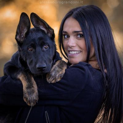Cucciolo Pastore Tedesco In Braccio Ragazza
